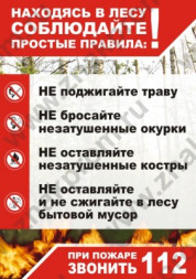 Плакат Правила в лесу (пленка А4)